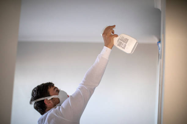 Best Emergency Mold Remediation in Grass Lake, MI