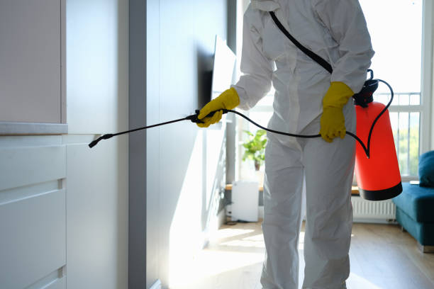 Best DIY Mold Remediation Support Services in Grass Lake, MI
