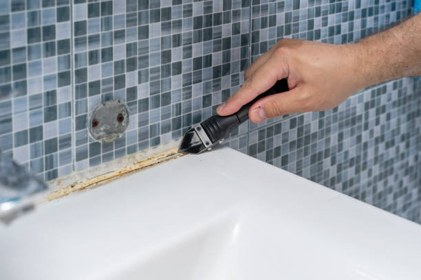 Best Bathroom Mold Remediation in Grass Lake, MI